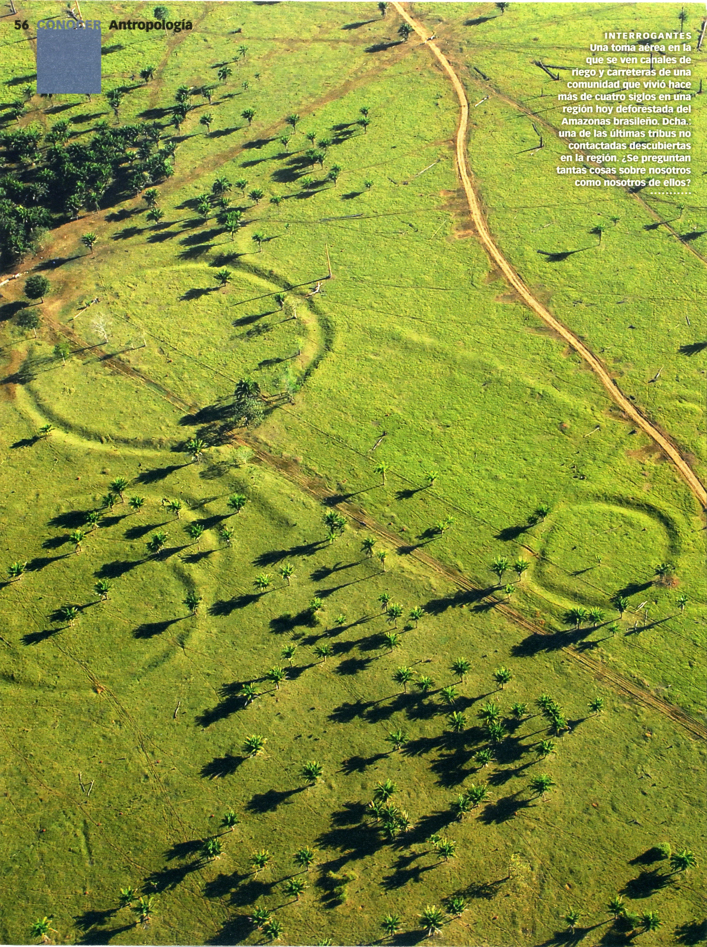 Amazonas3